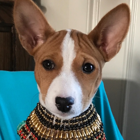 NO clowning around.... - Picture 2 of 16